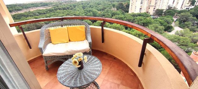 Foto 1 de Venta de piso en avenida Gola del Puchol de 3 habitaciones con terraza y piscina