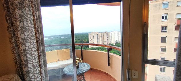 Foto 2 de Venta de piso en avenida Gola del Puchol de 3 habitaciones con terraza y piscina