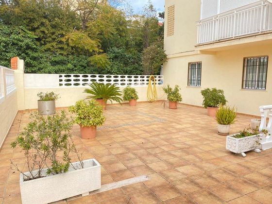 Foto 2 de Casa en venda a Playa de Gandia de 57 habitacions amb terrassa i jardí
