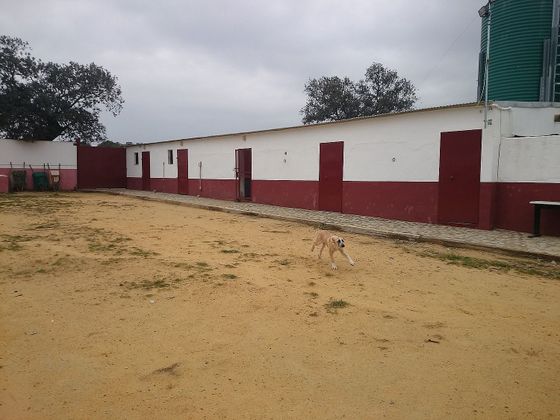 Foto 2 de Venta de terreno en Ronquillo (El) de 1980000 m²