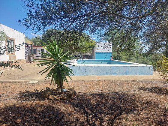 Foto 2 de Xalet en venda a Sanlúcar la Mayor de 3 habitacions amb terrassa i piscina