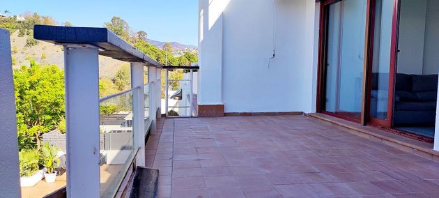 Foto 2 de Venta de piso en urbanización Parque Botánico Benahavís Mál de 1 habitación con terraza y piscina
