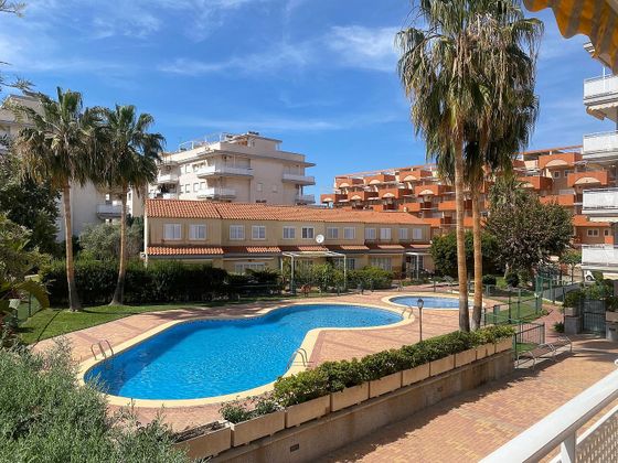 Foto 1 de Pis en lloguer a calle José Segrelles de 2 habitacions amb terrassa i piscina