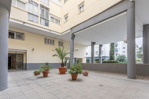 Foto 1 de Alquiler de piso en Las Huertas - San Pablo de 4 habitaciones con jardín y aire acondicionado