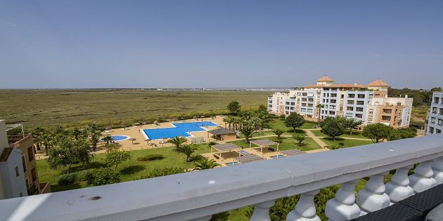 Foto 1 de Àtic en venda a avenida Del Real de 3 habitacions amb terrassa i piscina