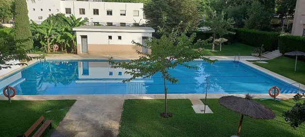 Foto 2 de Pis en venda a Ciudad Expo de 5 habitacions amb terrassa i piscina