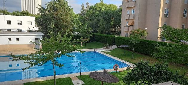 Foto 1 de Pis en venda a Ciudad Expo de 5 habitacions amb terrassa i piscina