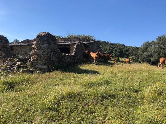 Foto 1 de Venta de terreno en Ronquillo (El) de 1720000 m²