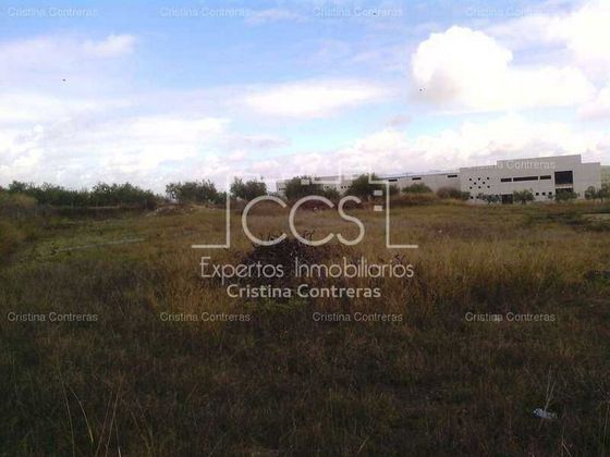Foto 2 de Venta de terreno en Olivares de 2000 m²