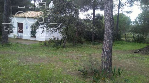 Foto 2 de Casa rural en venda a Almonte de 2 habitacions i 80 m²