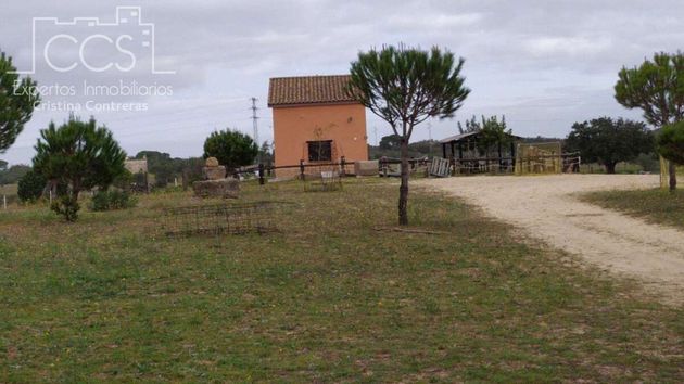 Foto 2 de Casa rural en venta en Almonte de 2 habitaciones con terraza y jardín