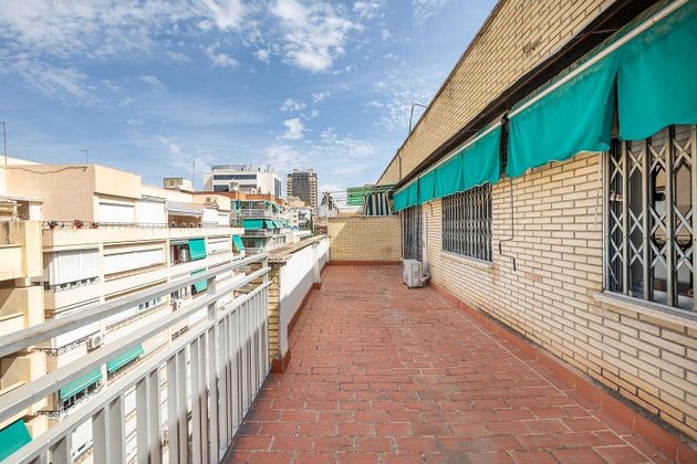 Foto 2 de Ático en venta en Pajaritos - Plaza de Toros de 5 habitaciones con terraza y aire acondicionado