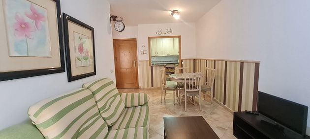 Foto 1 de Alquiler de piso en El Ejido - La Merced - La Victoria de 1 habitación con muebles y balcón