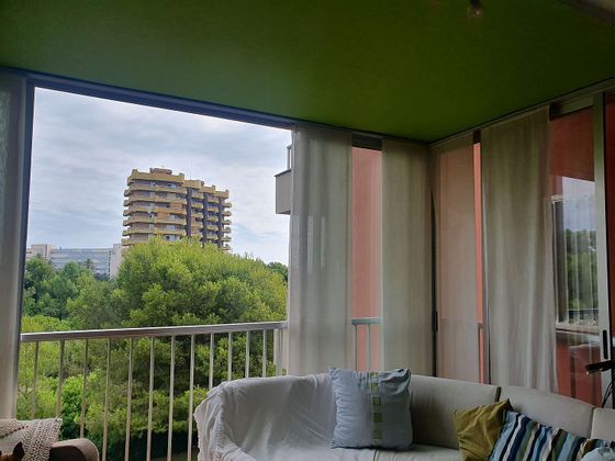 Foto 2 de Piso en alquiler en El Saler de 1 habitación con terraza y piscina