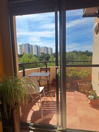 Foto 2 de Piso en alquiler en El Saler de 3 habitaciones con terraza y piscina