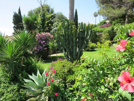 Foto 2 de Xalet en venda a El Castillo de 4 habitacions amb piscina i jardí