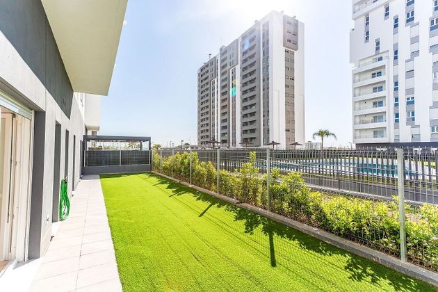 Foto 1 de Alquiler de piso en calle De Vicente Chuliá Campos de 4 habitaciones con terraza y piscina