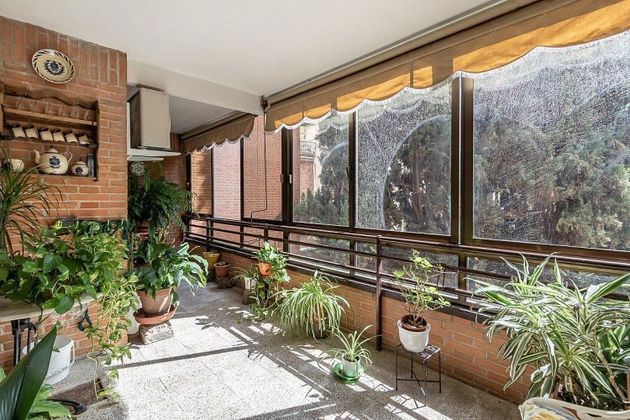 Foto 2 de Piso en venta en San Matías - Realejo de 4 habitaciones con terraza y piscina