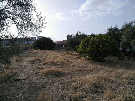 Foto 2 de Venta de terreno en Santa Ana de 1574 m²