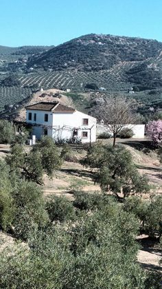 Foto 2 de Casa rural en venda a Villanueva de Tapia de 6 habitacions amb terrassa i jardí