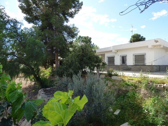 Foto 2 de Venta de chalet en El Esparragal de 3 habitaciones con terraza y piscina