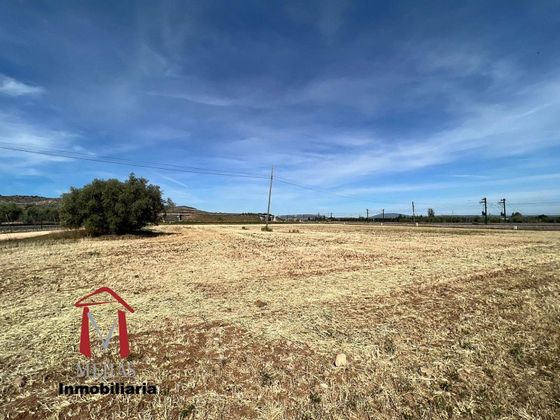 Foto 1 de Venta de terreno en Zona de la Vega de 6091 m²