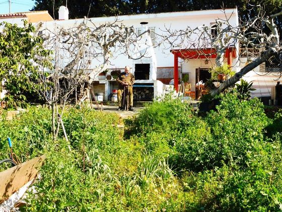 Foto 1 de Venta de casa rural en San Pedro de Alcántara pueblo de 2 habitaciones con terraza y piscina