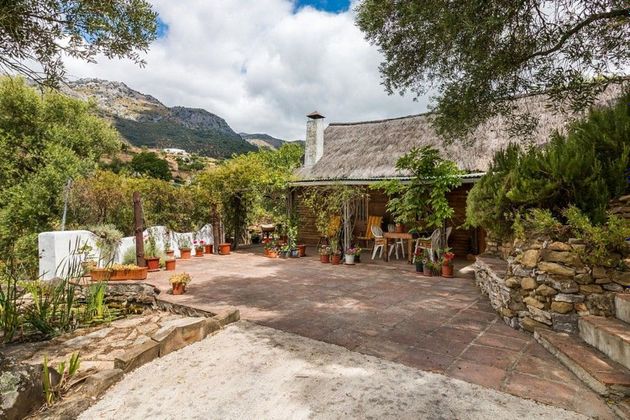 Foto 1 de Casa rural en venda a Cortes de la Frontera de 2 habitacions amb terrassa i piscina