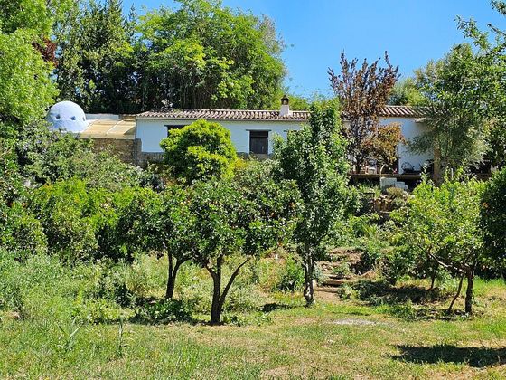 Foto 2 de Venta de casa en Gaucín de 3 habitaciones con terraza y jardín