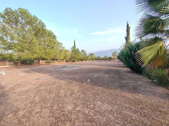 Foto 2 de Venta de terreno en Librilla de 4000 m²