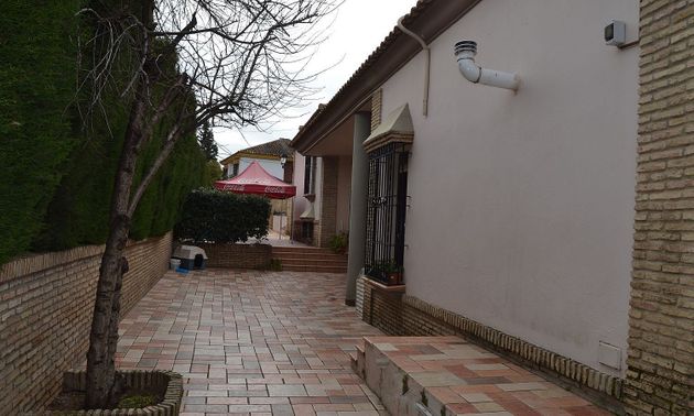 Foto 2 de Venta de chalet en Montequinto de 5 habitaciones con terraza y piscina