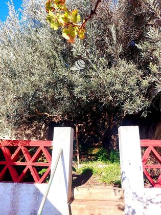 Foto 1 de Casa en venda a Benalup-Casas Viejas de 2 habitacions amb terrassa i jardí