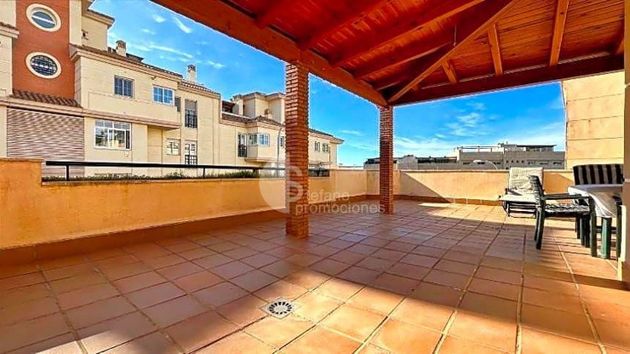 Foto 2 de Casa en venta en El Mayorazgo - El Limonar de 6 habitaciones con terraza y piscina