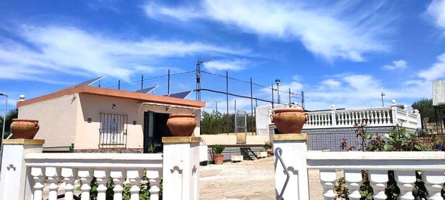 Foto 1 de Venta de terreno en Castilblanco de los Arroyos de 8000 m²