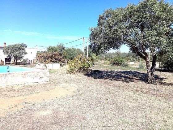 Foto 1 de Venta de terreno en Castilblanco de los Arroyos de 2500 m²