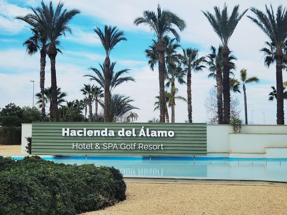 Foto 1 de Pis en venda a avenida Hacienda del Alamo de 2 habitacions amb terrassa i piscina