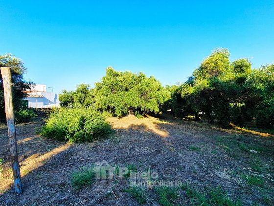 Foto 2 de Venta de terreno en Castilblanco de los Arroyos de 2096 m²