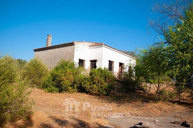 Foto 1 de Venta de terreno en Castilblanco de los Arroyos de 2000 m²