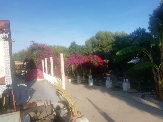 Foto 1 de Casa rural en venda a calle Diseminado la Grajuela de 4 habitacions amb jardí