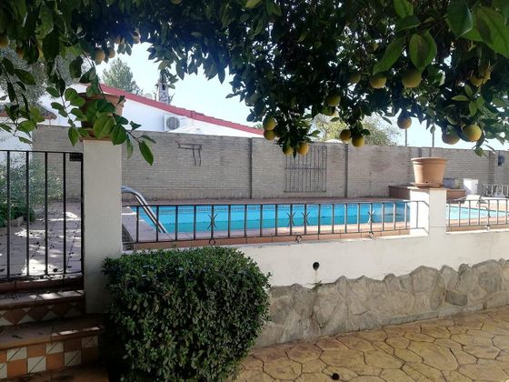 Foto 1 de Xalet en venda a Valencina de la Concepción de 4 habitacions amb terrassa i piscina