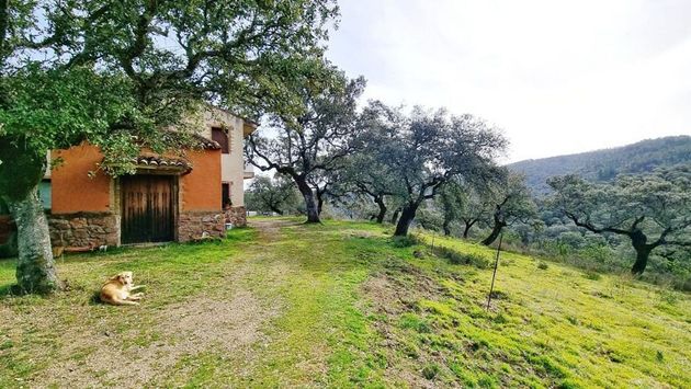Foto 2 de Casa rural en venda a Aracena de 6 habitacions amb terrassa i jardí