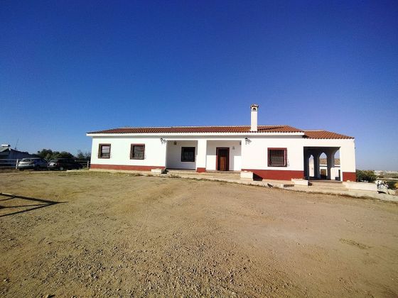 Foto 1 de Chalet en venta en Puebla del Río (La) de 3 habitaciones con terraza y jardín