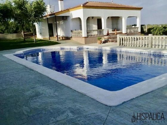 Foto 1 de Venta de casa en Cantillana de 3 habitaciones con terraza y piscina