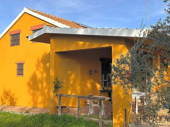 Foto 1 de Casa en venta en Palma del Condado (La) de 3 habitaciones con terraza y jardín