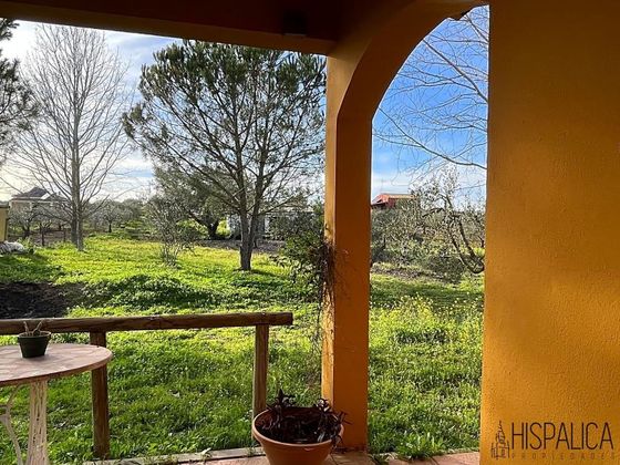 Foto 2 de Casa en venta en Palma del Condado (La) de 3 habitaciones con terraza y jardín