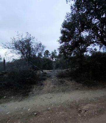 Foto 2 de Venta de terreno en Galaroza de 8820 m²