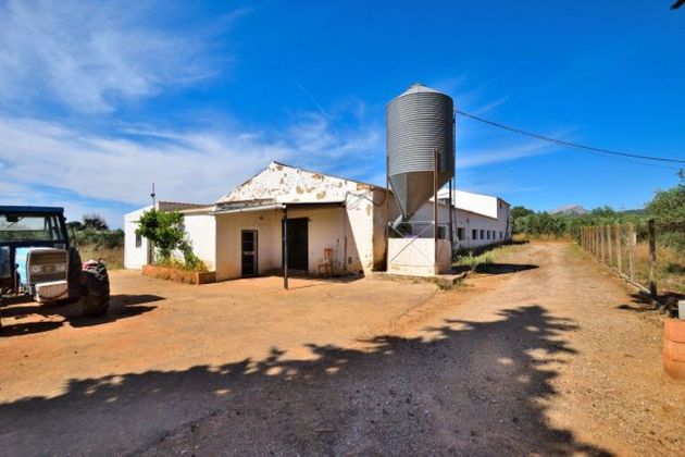 Foto 2 de Casa rural en venda a Ronda de 1 habitació amb jardí