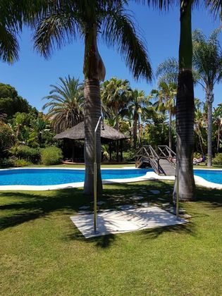 Foto 2 de Pis en lloguer a Puerto Banús de 2 habitacions amb terrassa i piscina