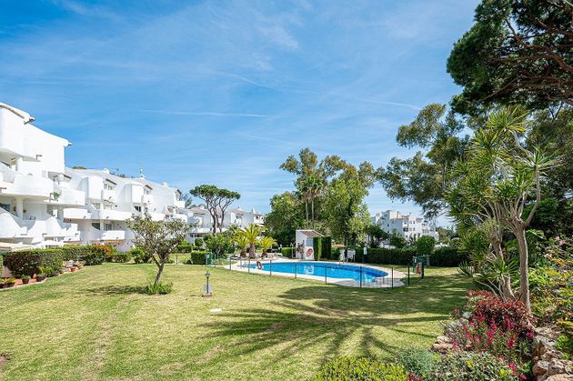 Foto 2 de Dúplex en venda a calle Pinos de 2 habitacions amb terrassa i piscina