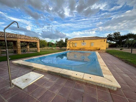 Foto 2 de Xalet en venda a Ctra de Sevilla - Ronda sur de 8 habitacions amb terrassa i piscina